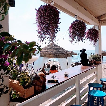 B&B Purple Italy Fiumicino Bagian luar foto