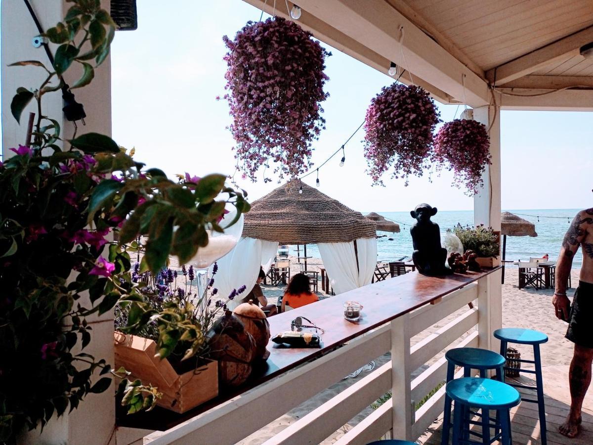 B&B Purple Italy Fiumicino Bagian luar foto